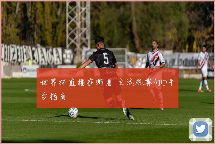 世界杯直播在哪看 主流观赛App平台指南