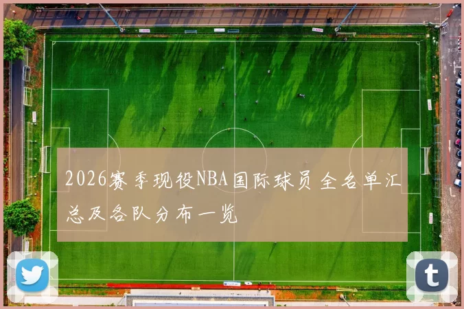 2026赛季现役NBA国际球员全名单汇总及各队分布一览
