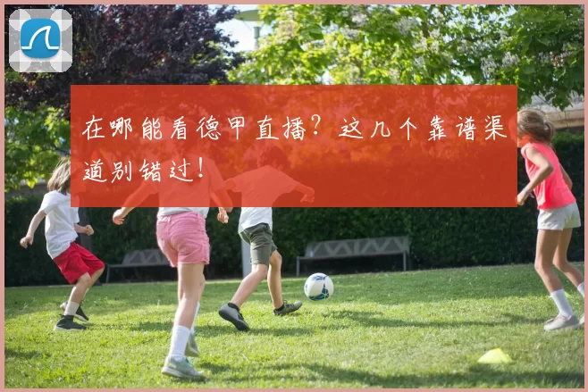 在哪能看德甲直播？这几个靠谱渠道别错过！