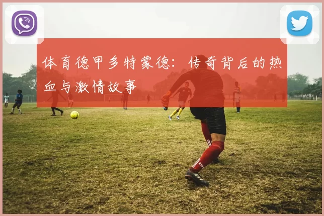 体育德甲多特蒙德：传奇背后的热血与激情故事